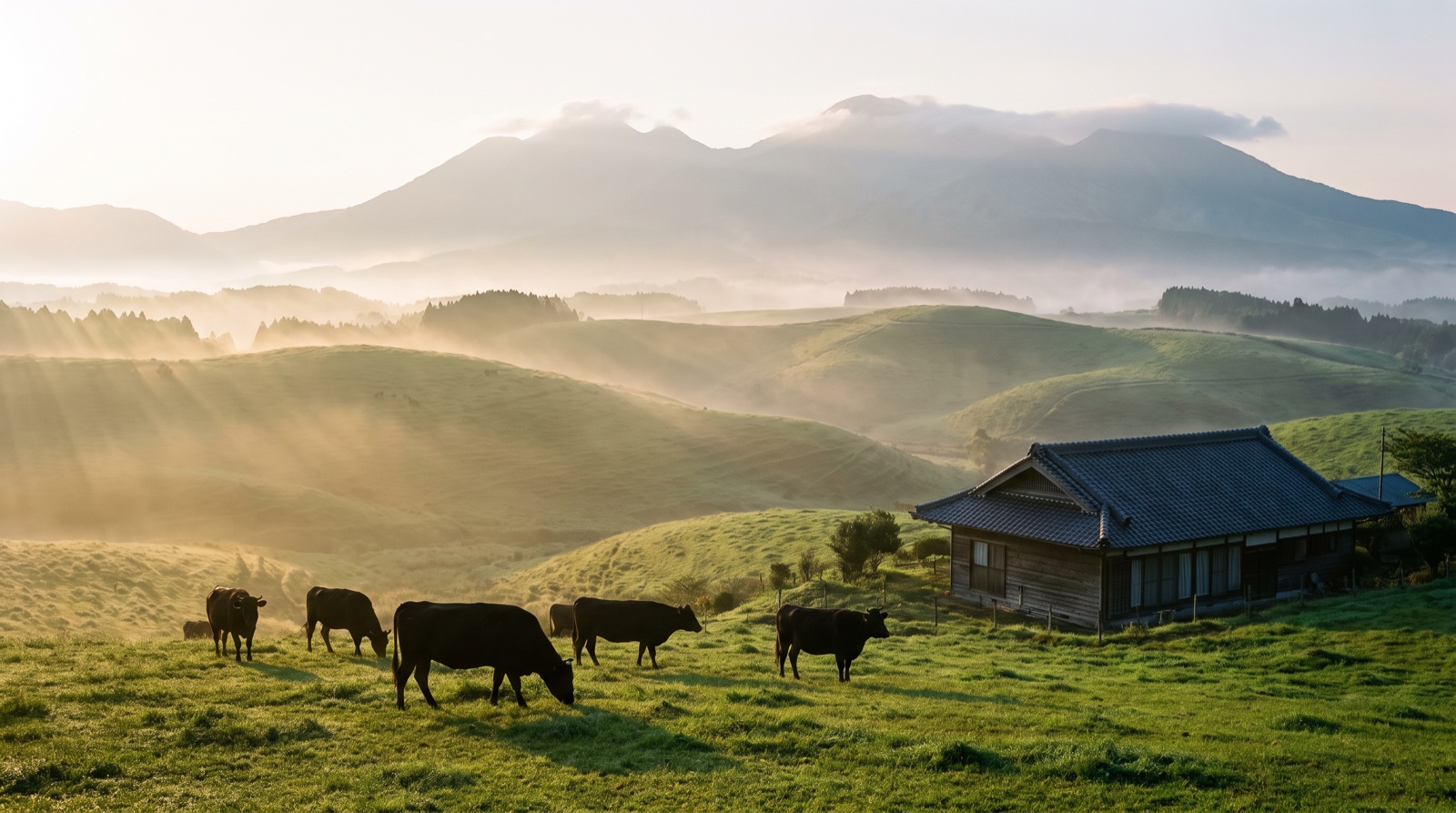 Miyazaki, Japan